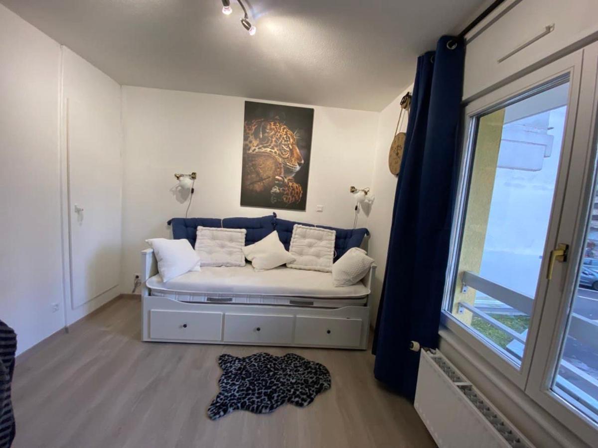 Appartement Esplanade ストラスブール エクステリア 写真